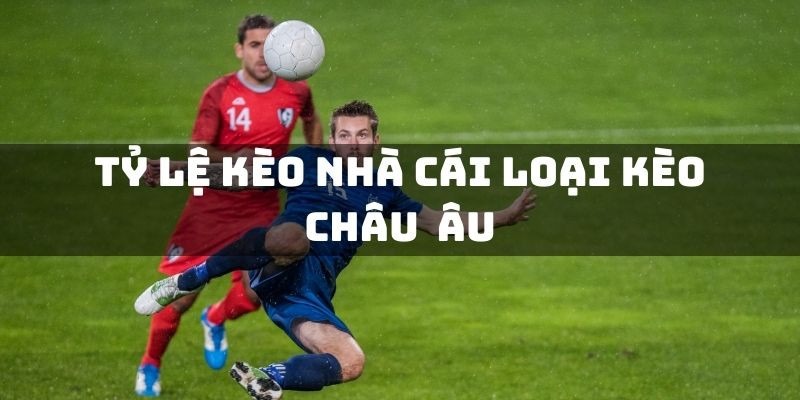 Kèo 1x2 là gì được nhiều người quan tâm