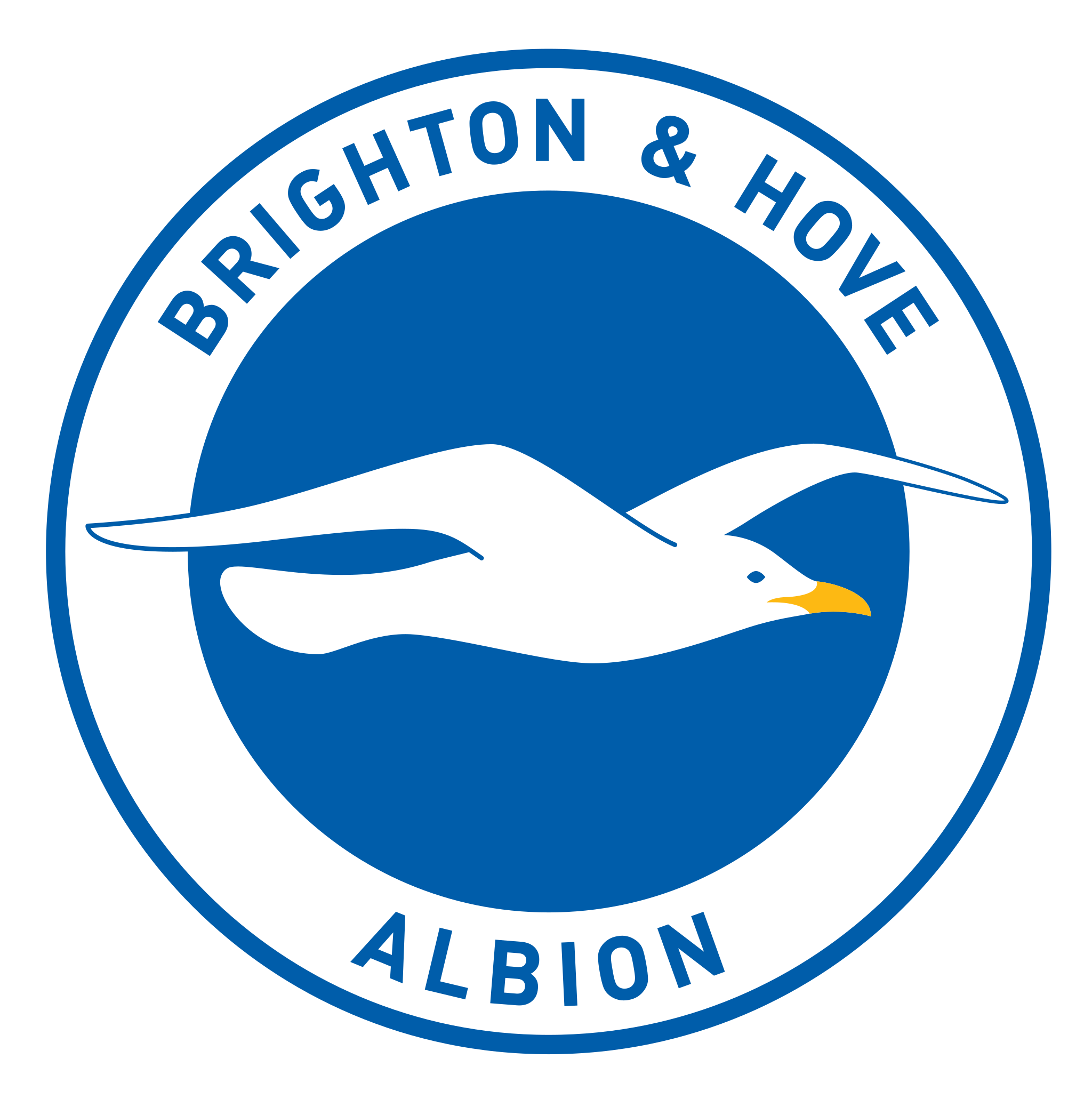 Brighton & Hove Albion Logo.svg